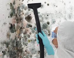 Mold Removal for HVAC Installations in Othello, WA